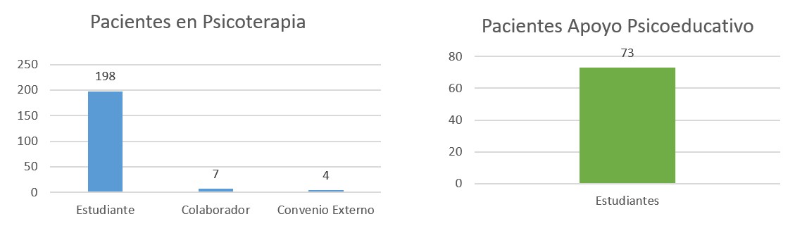 Tipo de pacientes atendidos