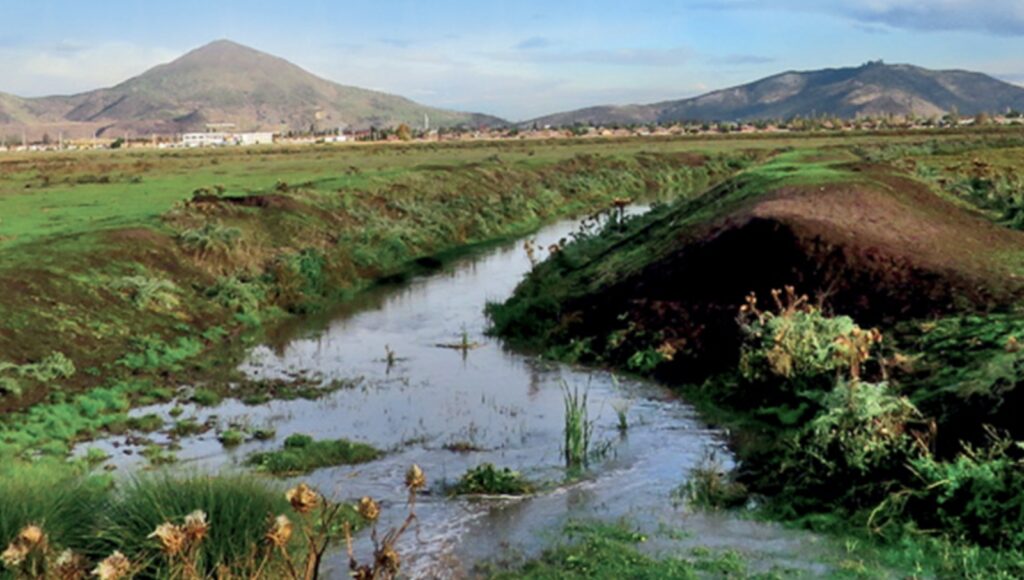 Humedal Quilicura