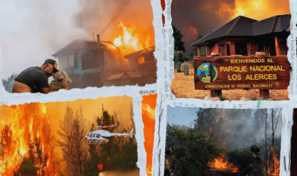 COIL UNIACC: Incendios forestales